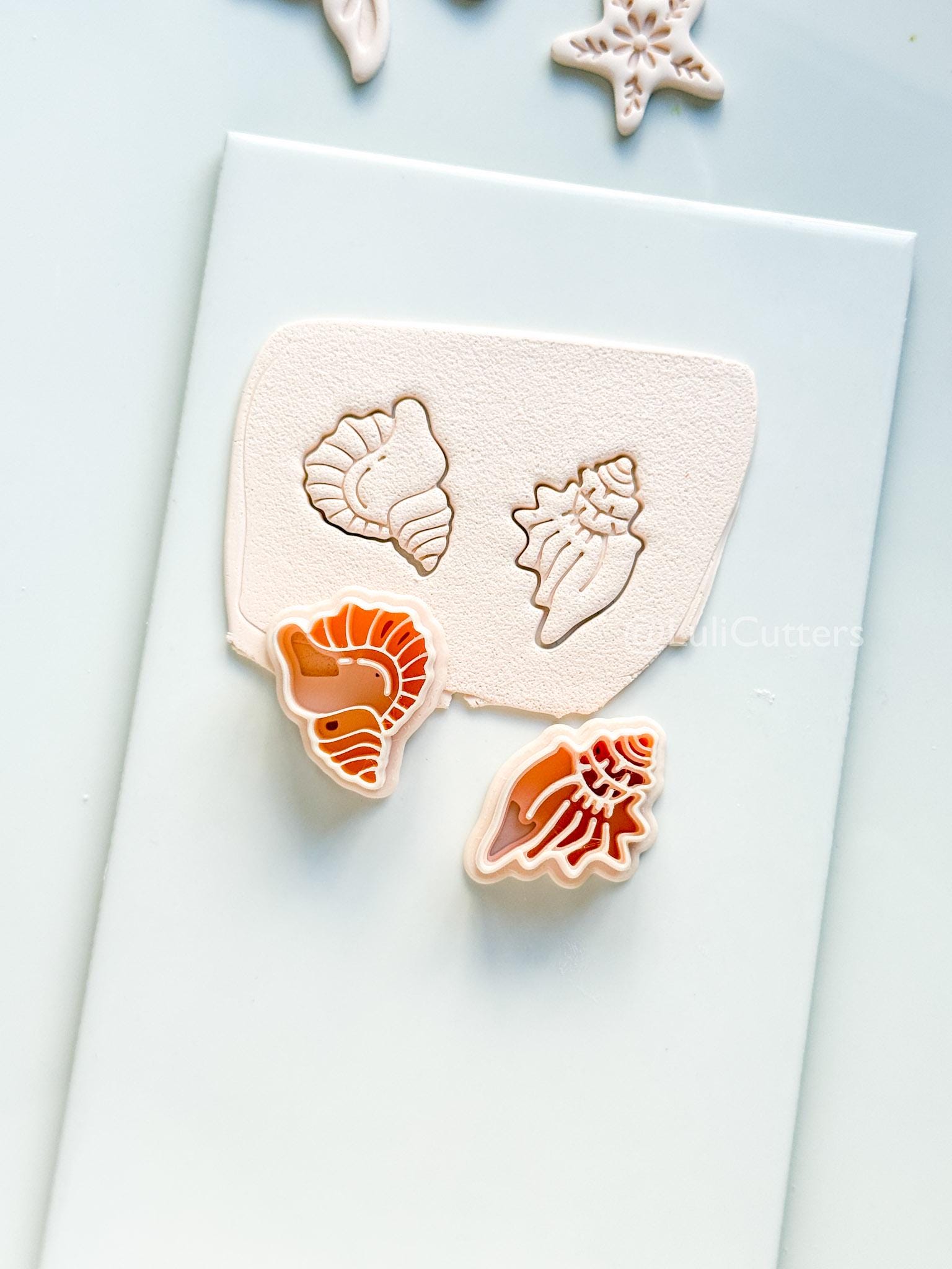 Sea-esta Cutter Set | Conch Shell Shape Tool for Polymer Clay